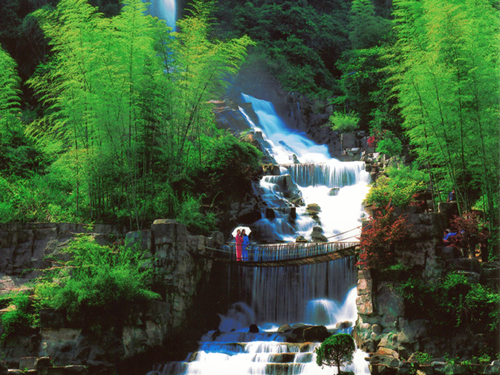 ������TƱ